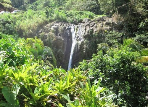 Half Day Grenada Sunshine Highlights Tour