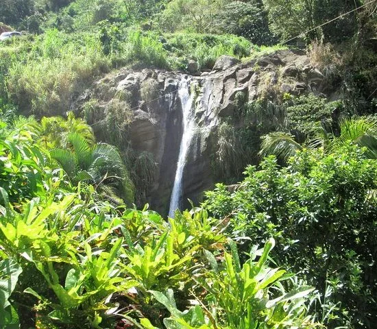 Half Day Grenada Sunshine Highlights Tour