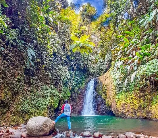 Chasing Waterfalls in Grenada Hike and Adventure Tours