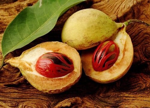 Grenada Spice Gardens, Rum & Chocolate Tour (Full/Half Day)