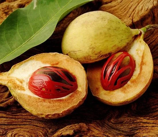 Grenada Spice Gardens, Rum & Chocolate Tour (Full/Half Day)