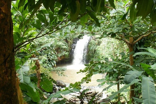 Annandale Falls